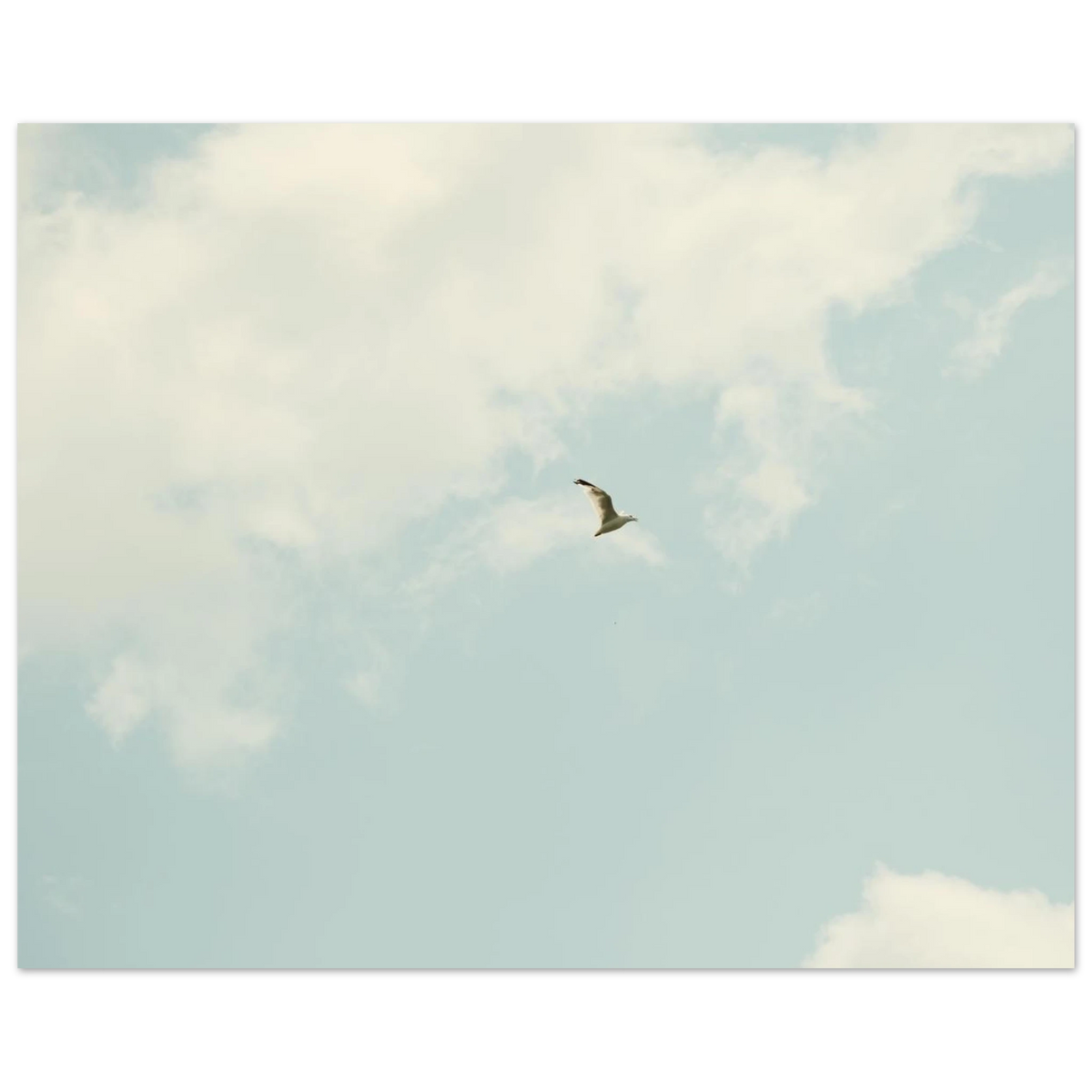 041b6045-883a-43f3-80c8-0b8e0ac1279f