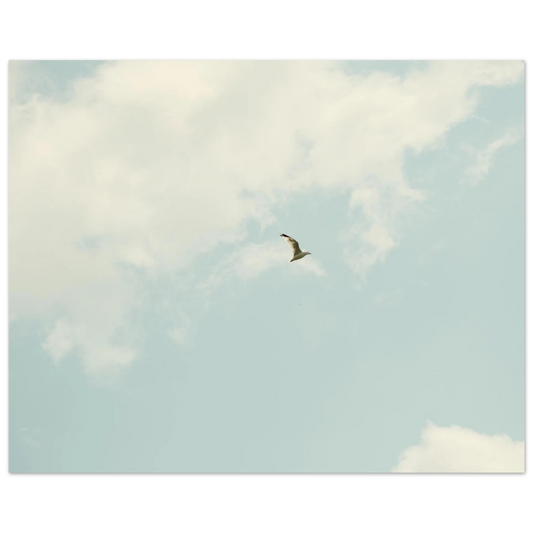 041b6045-883a-43f3-80c8-0b8e0ac1279f