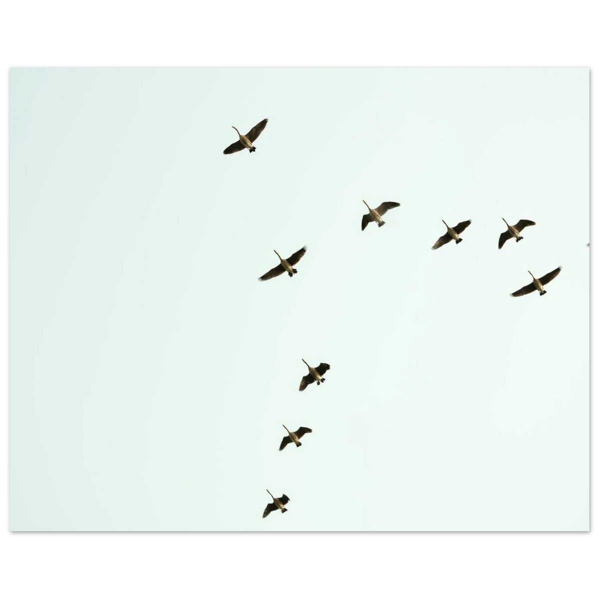 07e14f76-98af-4d0c-9c61-56ddb3756a24