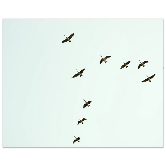 07e14f76-98af-4d0c-9c61-56ddb3756a24