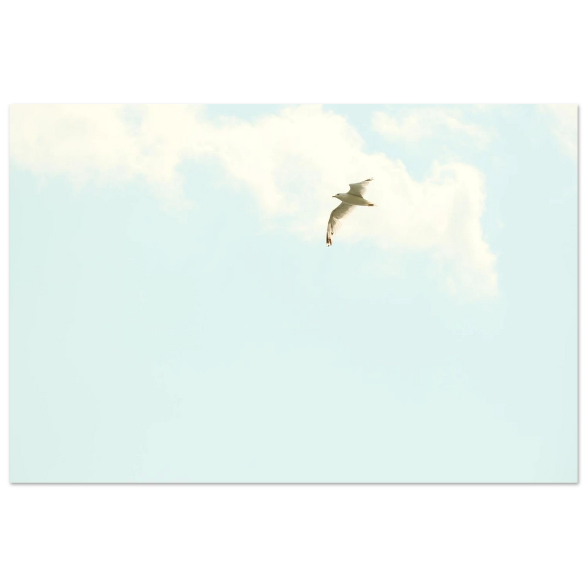 1b8753e8-be55-4c70-8bba-b26406ffcd7f