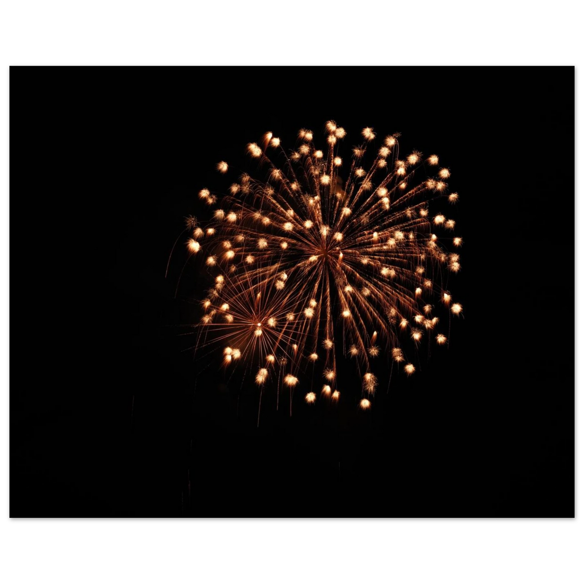 368f74a3-4224-43b5-a763-8091d38ce9db