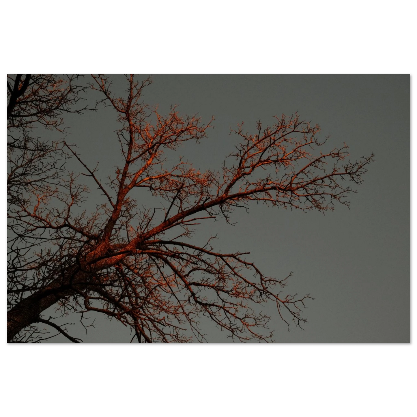3886f54d-8216-4cd9-811f-9e8d3a0ea17c