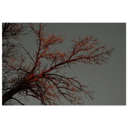 3886f54d-8216-4cd9-811f-9e8d3a0ea17c