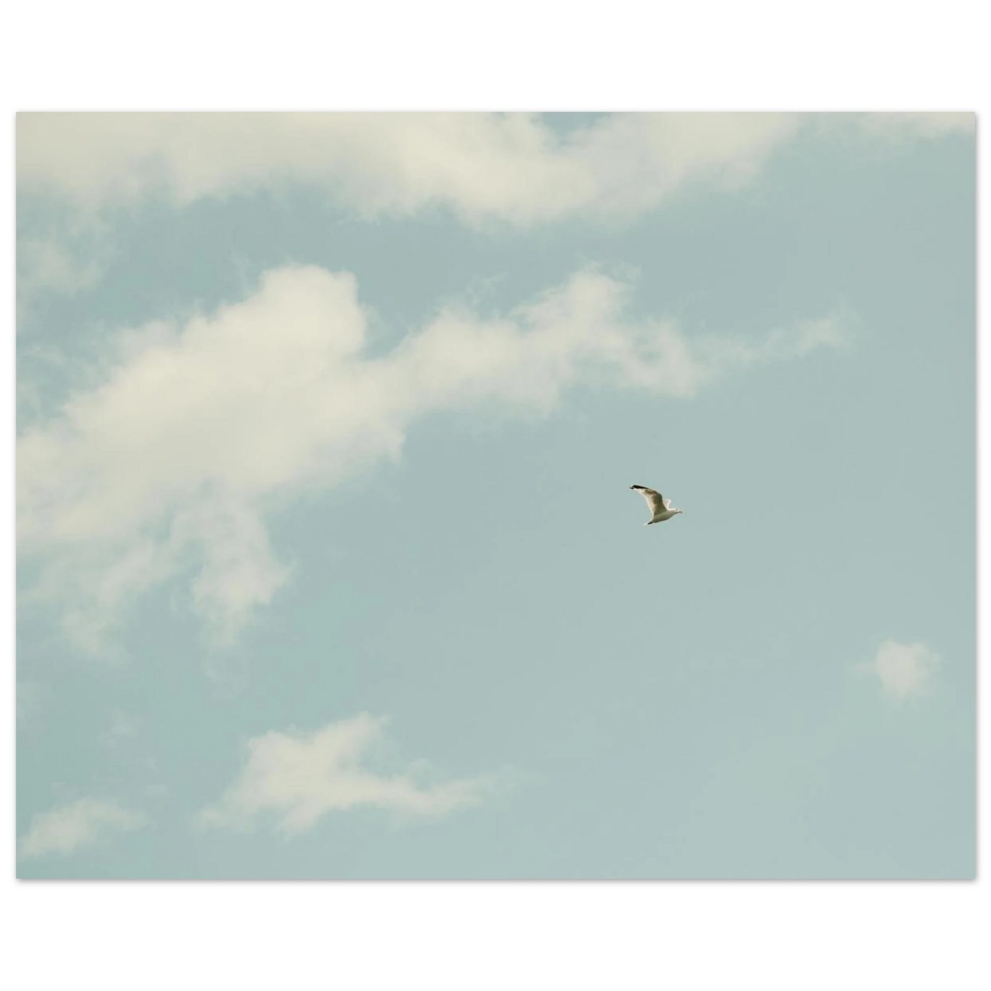3c35f35a-6005-4a91-947e-971347ef61ae