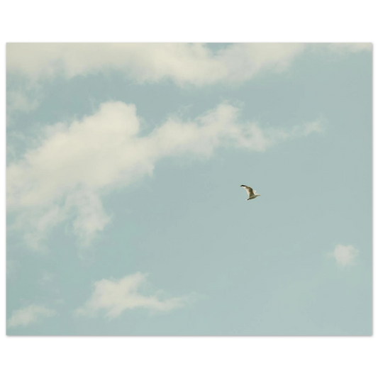 3c35f35a-6005-4a91-947e-971347ef61ae