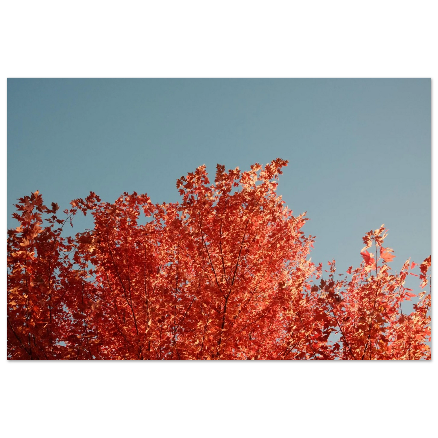 4c762a75-454a-4f20-85ae-102d08c51077