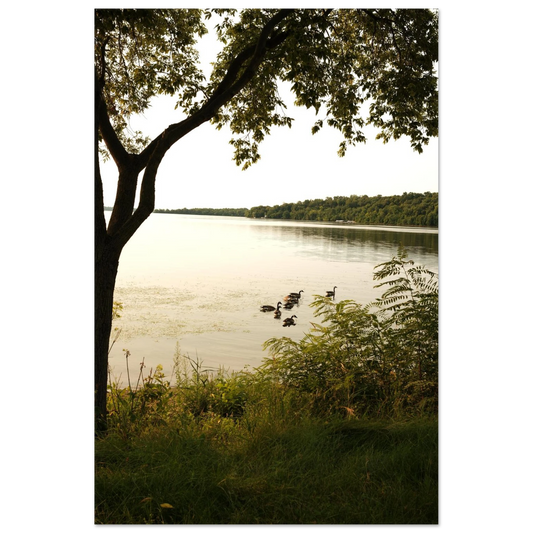 5b5862f7-d3ea-4461-a017-63972ece92db