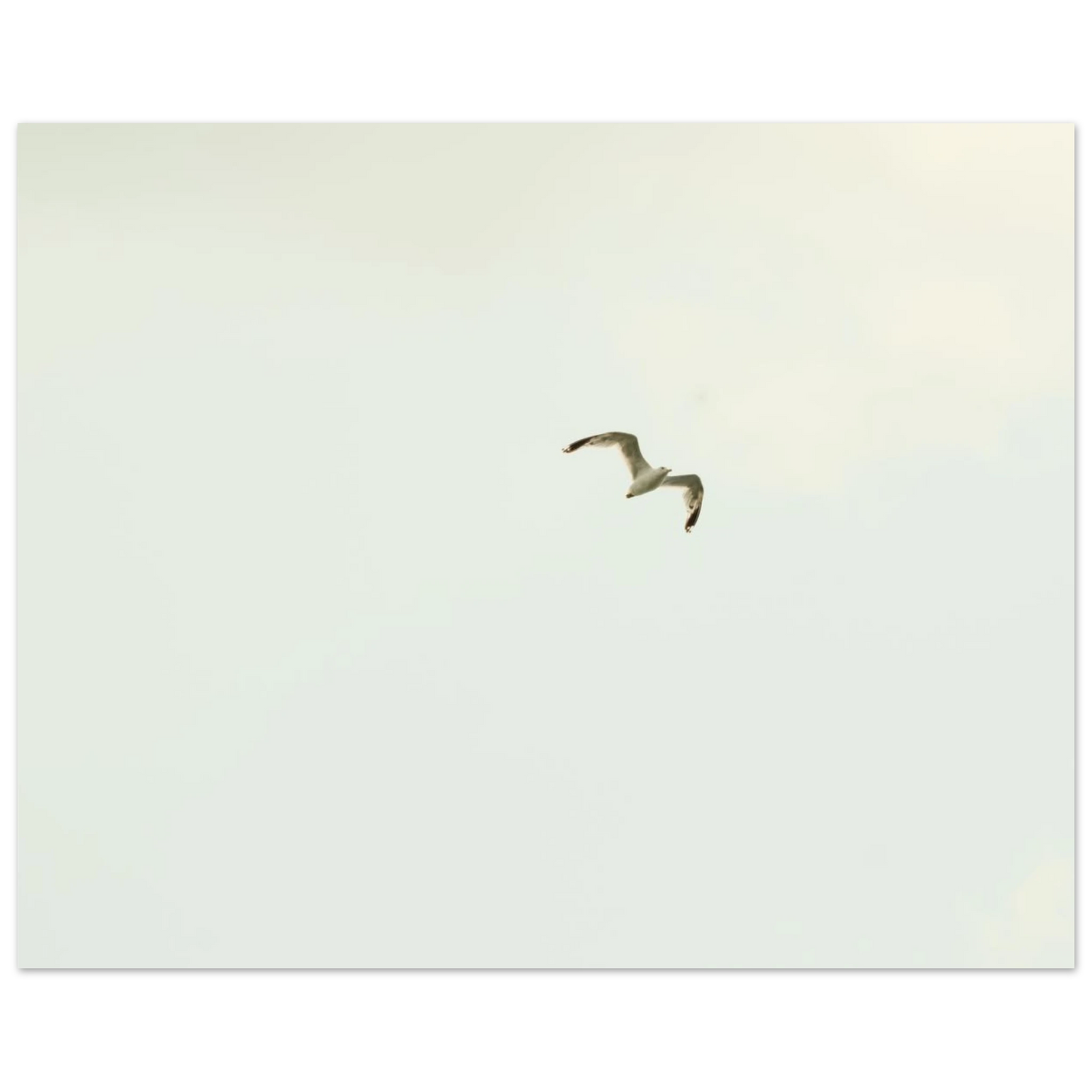 669a6167-18bb-46e6-916e-02fbb52cd684