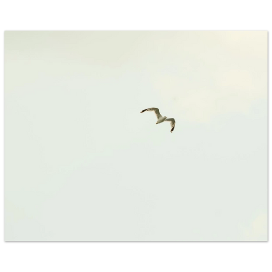 669a6167-18bb-46e6-916e-02fbb52cd684