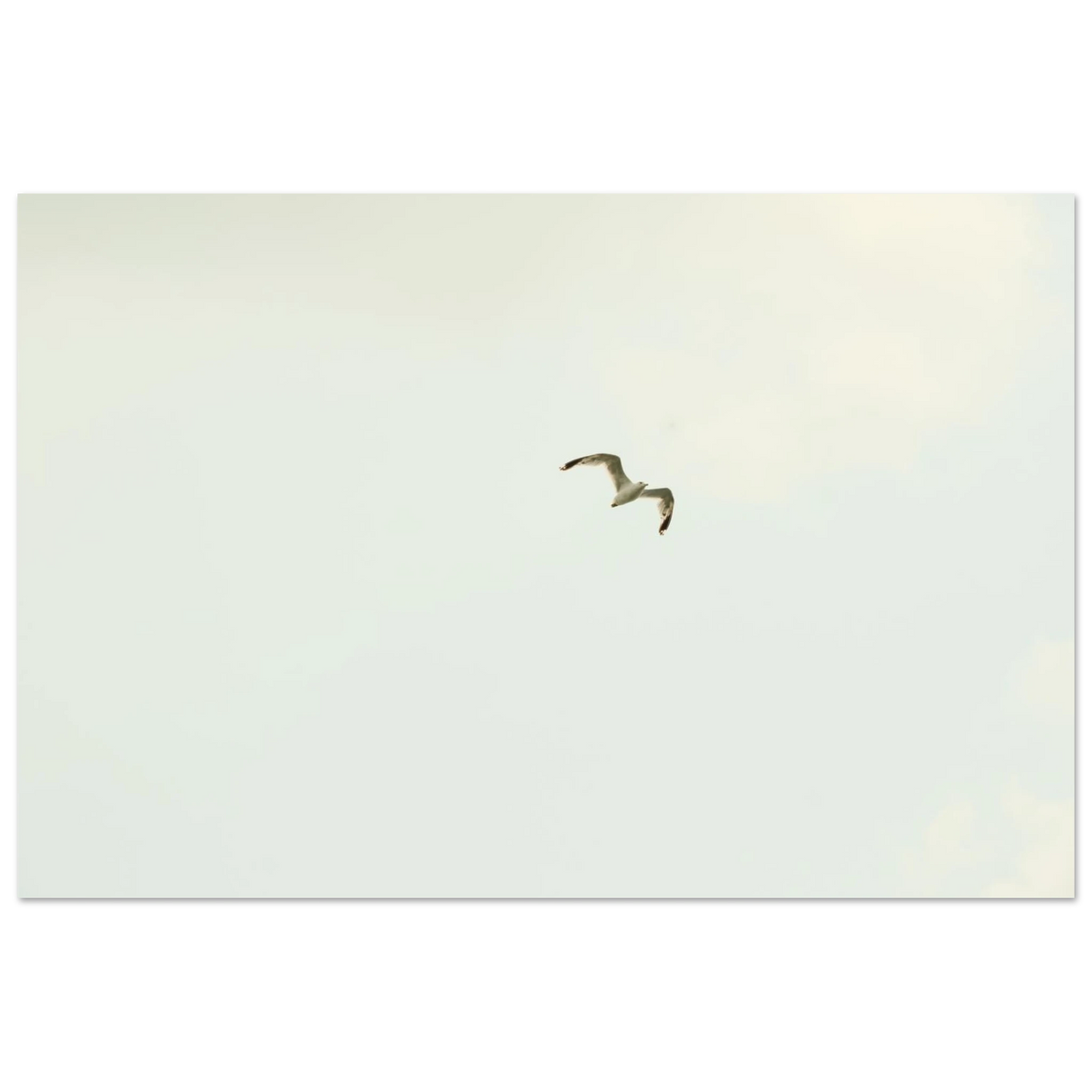 687c4324-82d2-4e5d-b485-c5b6c1e7b3f0