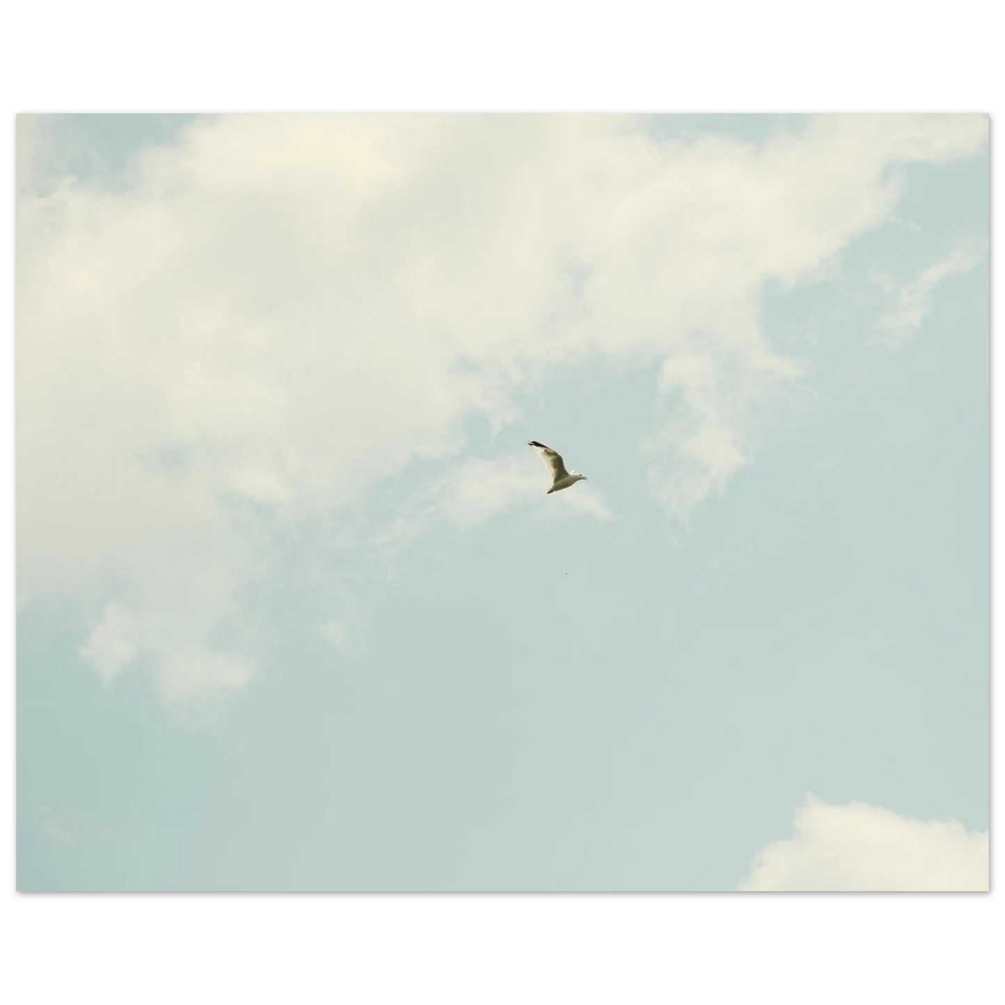6e3af680-90e2-4873-8fa7-33ba243f4a0d