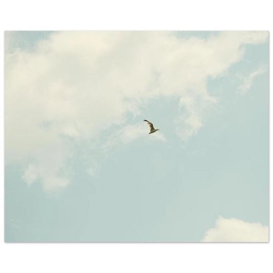 6e3af680-90e2-4873-8fa7-33ba243f4a0d