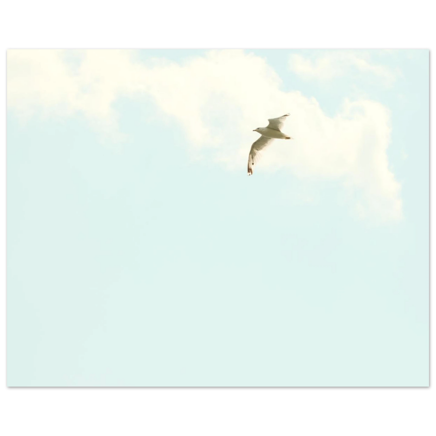 7a02e310-865a-4a3b-8bc1-254dcbb5ad2a