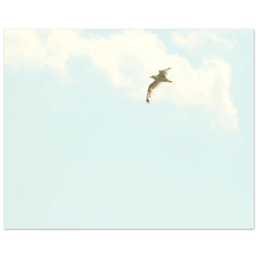 7a02e310-865a-4a3b-8bc1-254dcbb5ad2a