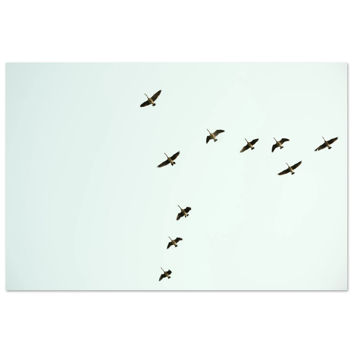 7b162530-0657-4b22-b3da-debe4733795f