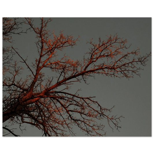 7dc052a1-fa98-41b1-b491-942a9a9c1cb5