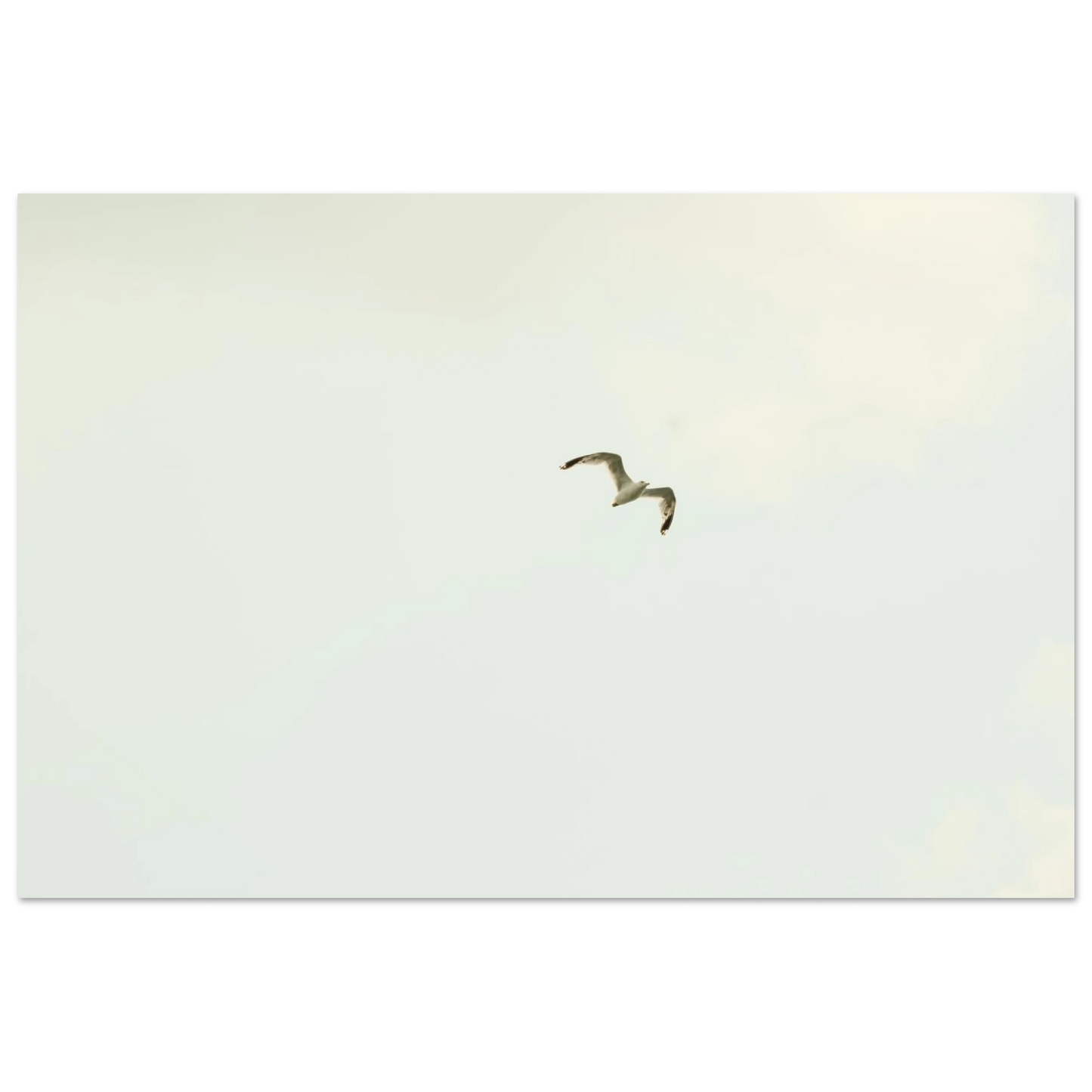 8aad2c8d-c7b0-4f17-a148-919c2f03a8c5