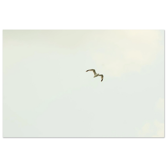 8aad2c8d-c7b0-4f17-a148-919c2f03a8c5