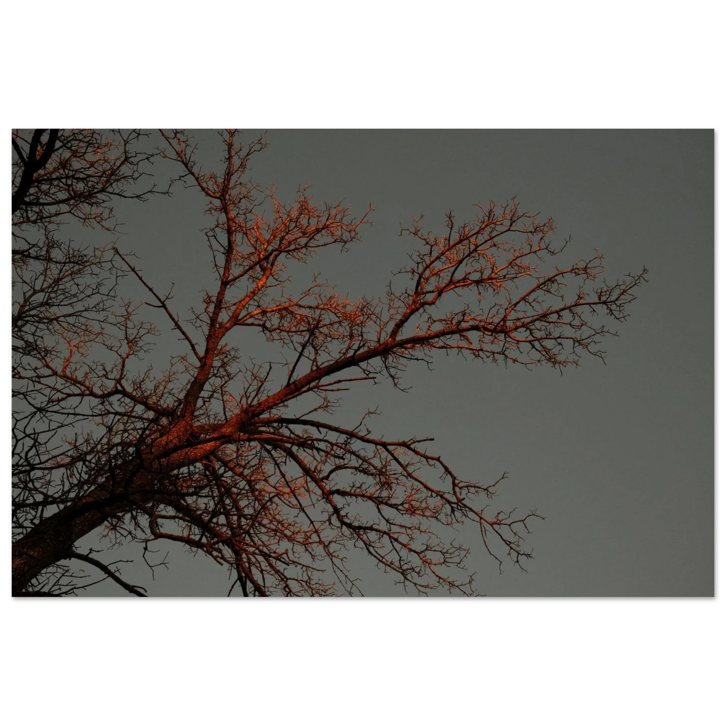 8b530c76-0189-4caa-8ba3-777accef9f42