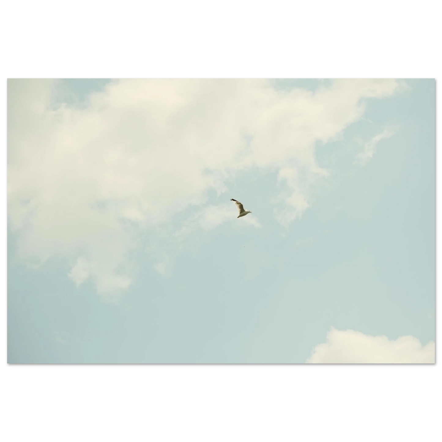8df9a88e-c96a-4354-acff-02f555953a00