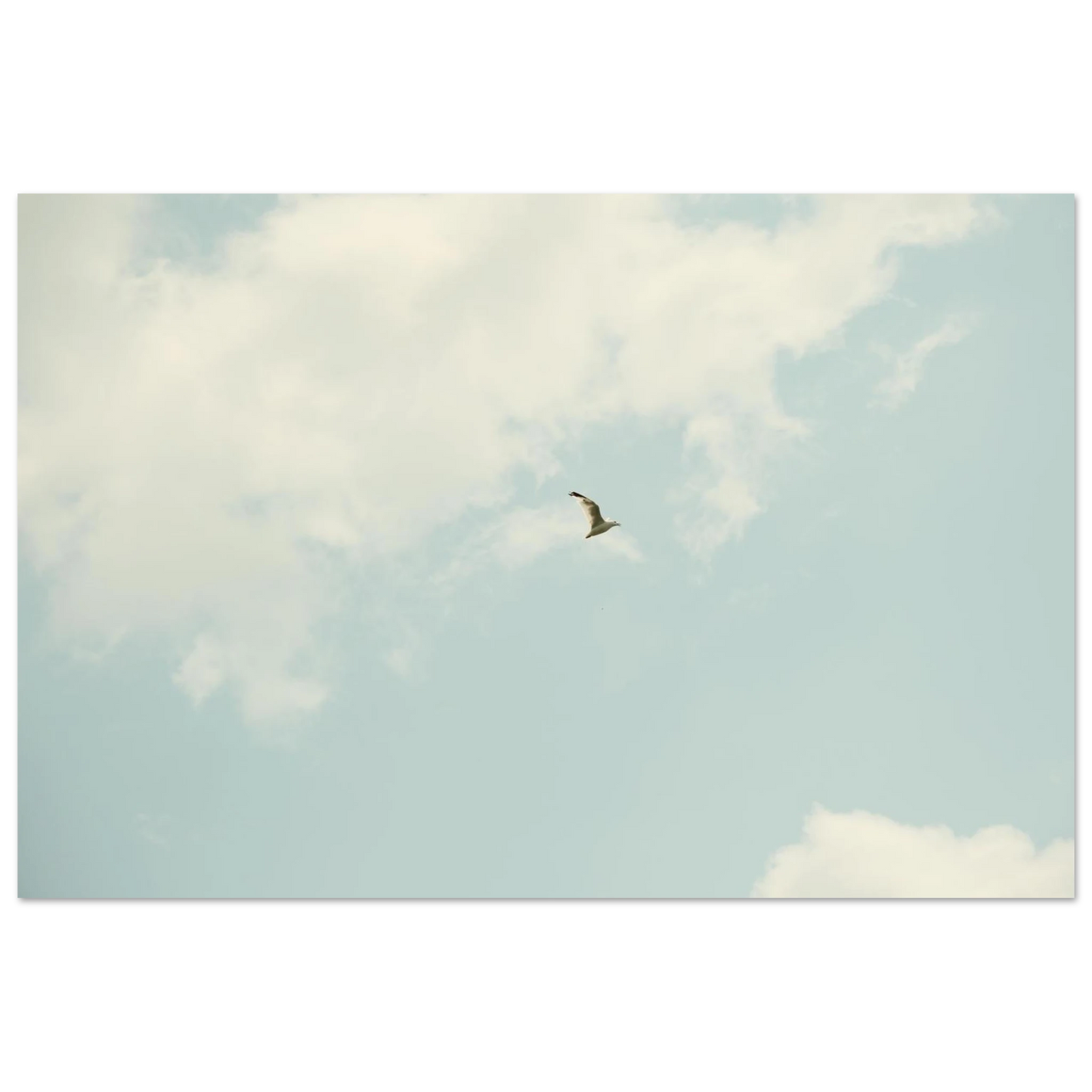 9728f636-da09-4b28-b9ea-07ab183931fa