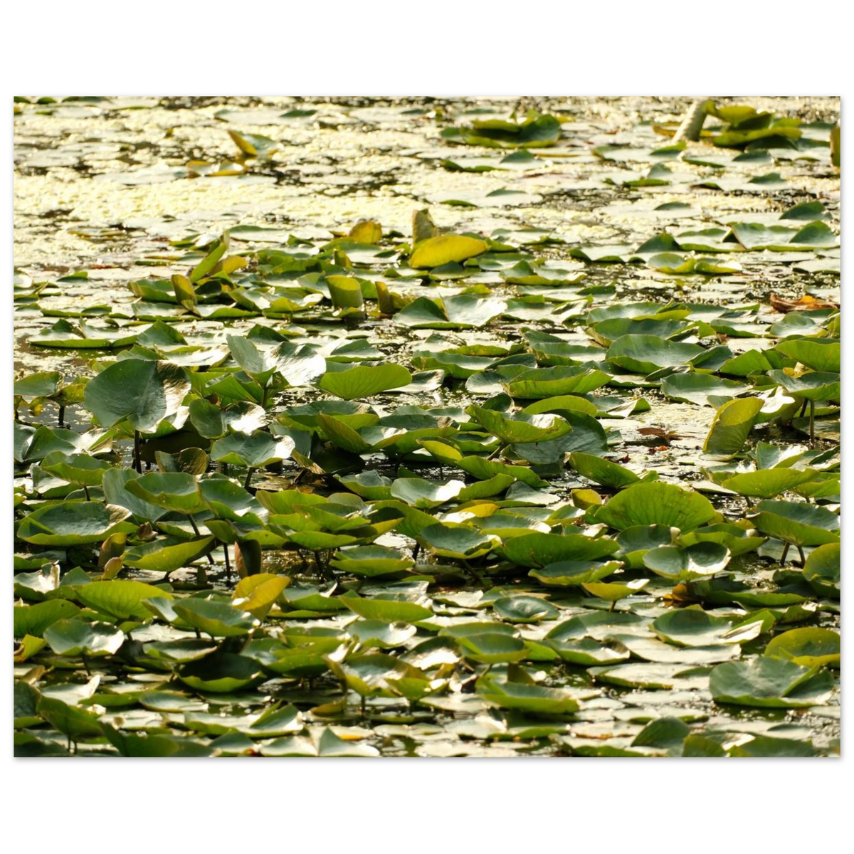 a5696fc5-420d-41f9-86f5-bf6d28f04e18