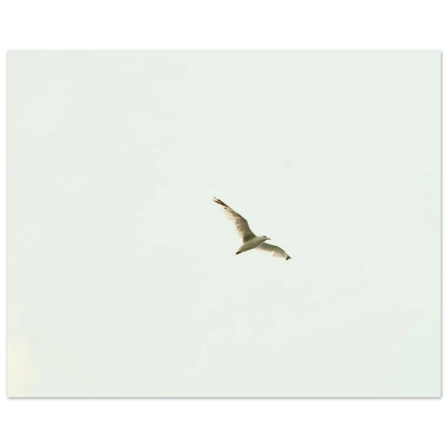b31a9a3f-44cc-4287-bc09-3cdf6a0e0ac3
