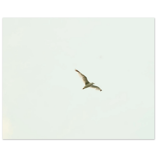 b31a9a3f-44cc-4287-bc09-3cdf6a0e0ac3