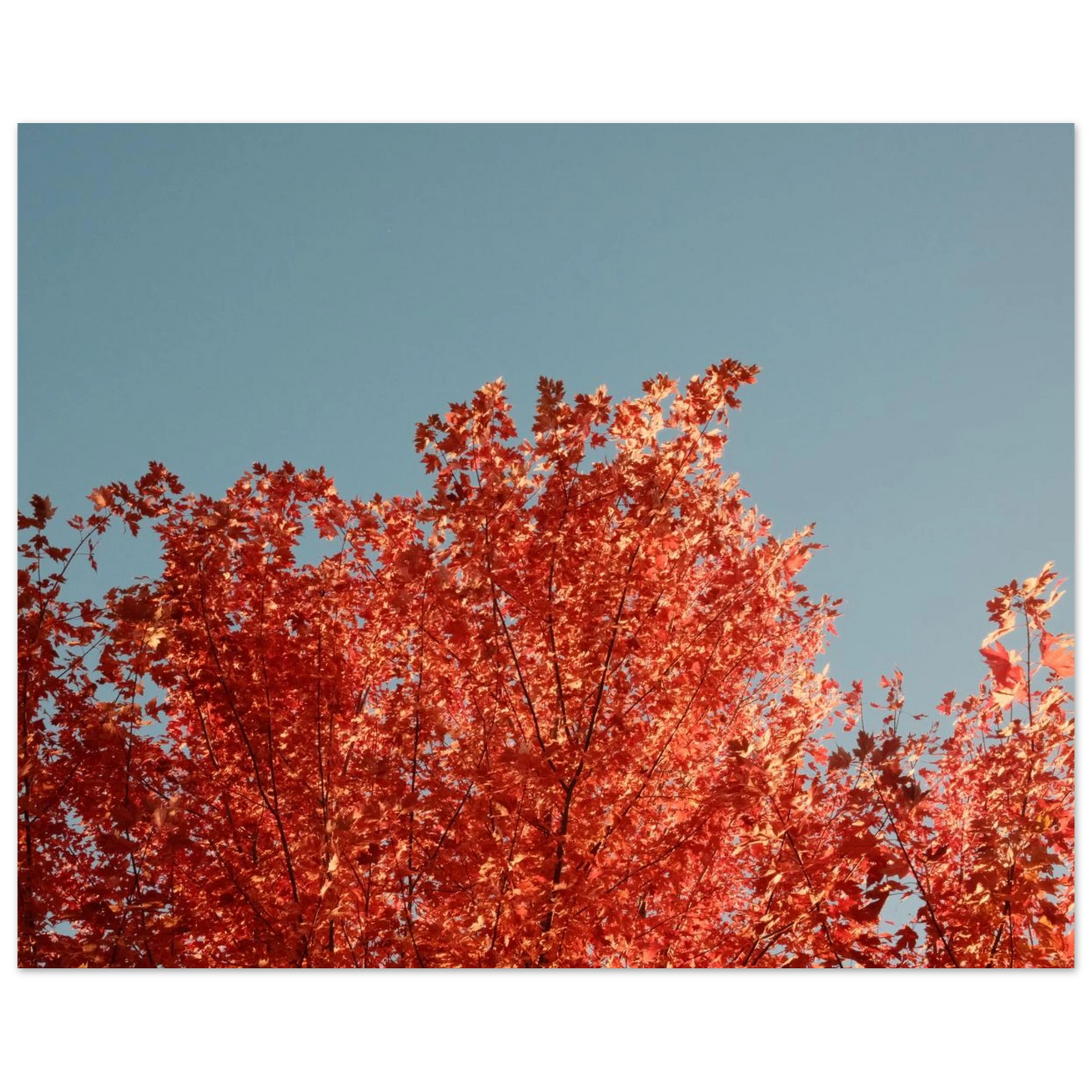 b8b72753-3c19-4d18-8ec7-bebbd1d2f7e9