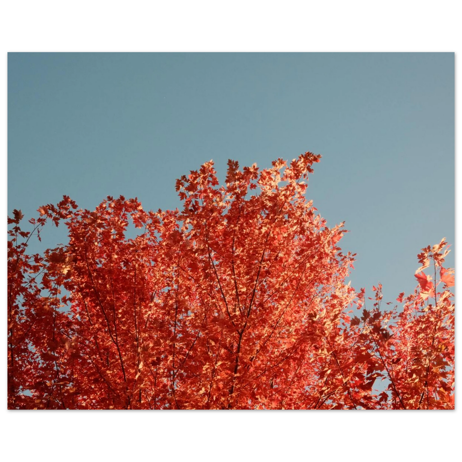 b8b72753-3c19-4d18-8ec7-bebbd1d2f7e9