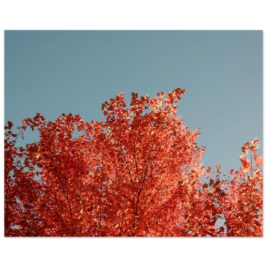 b8b72753-3c19-4d18-8ec7-bebbd1d2f7e9