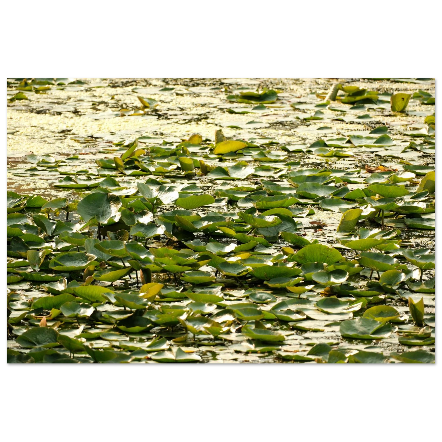 cbaf60bd-b7d7-4bb7-bc0e-1d6f1aa58e68