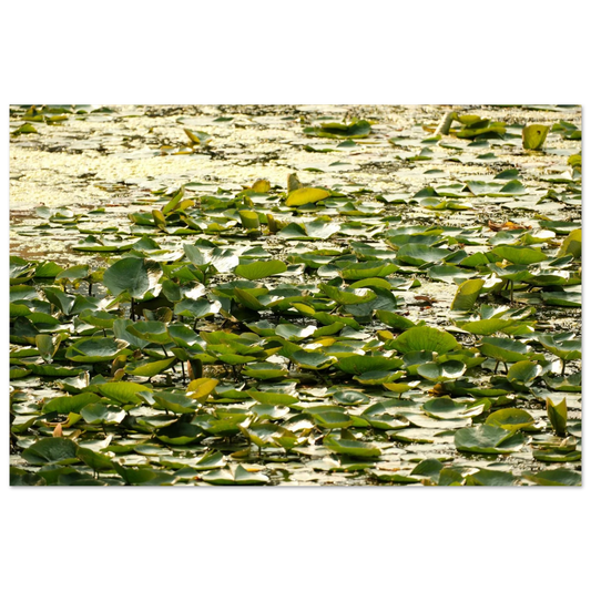 cbaf60bd-b7d7-4bb7-bc0e-1d6f1aa58e68