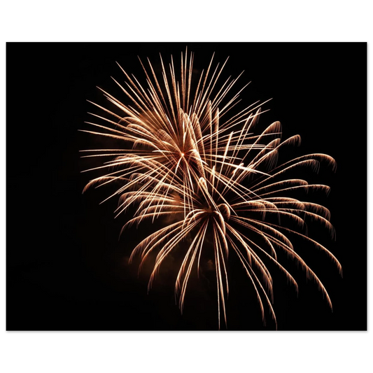 cc148298-c982-4eb2-b2e0-d694c1c3f9ab
