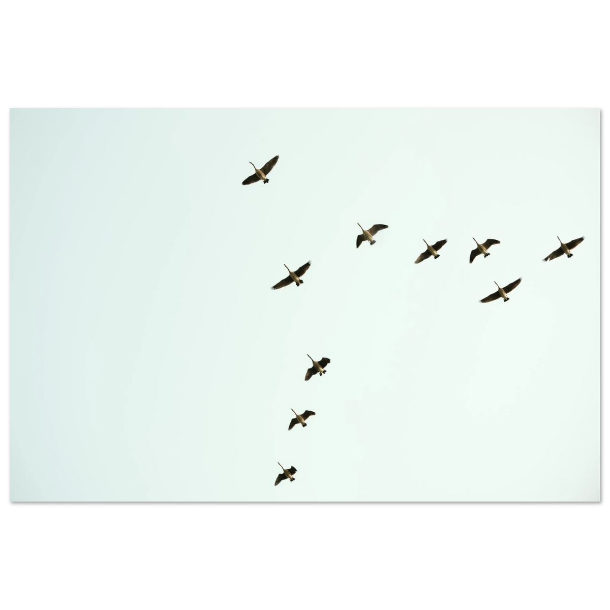 d6974cf9-20ab-49cf-8f49-36e4089b1c40