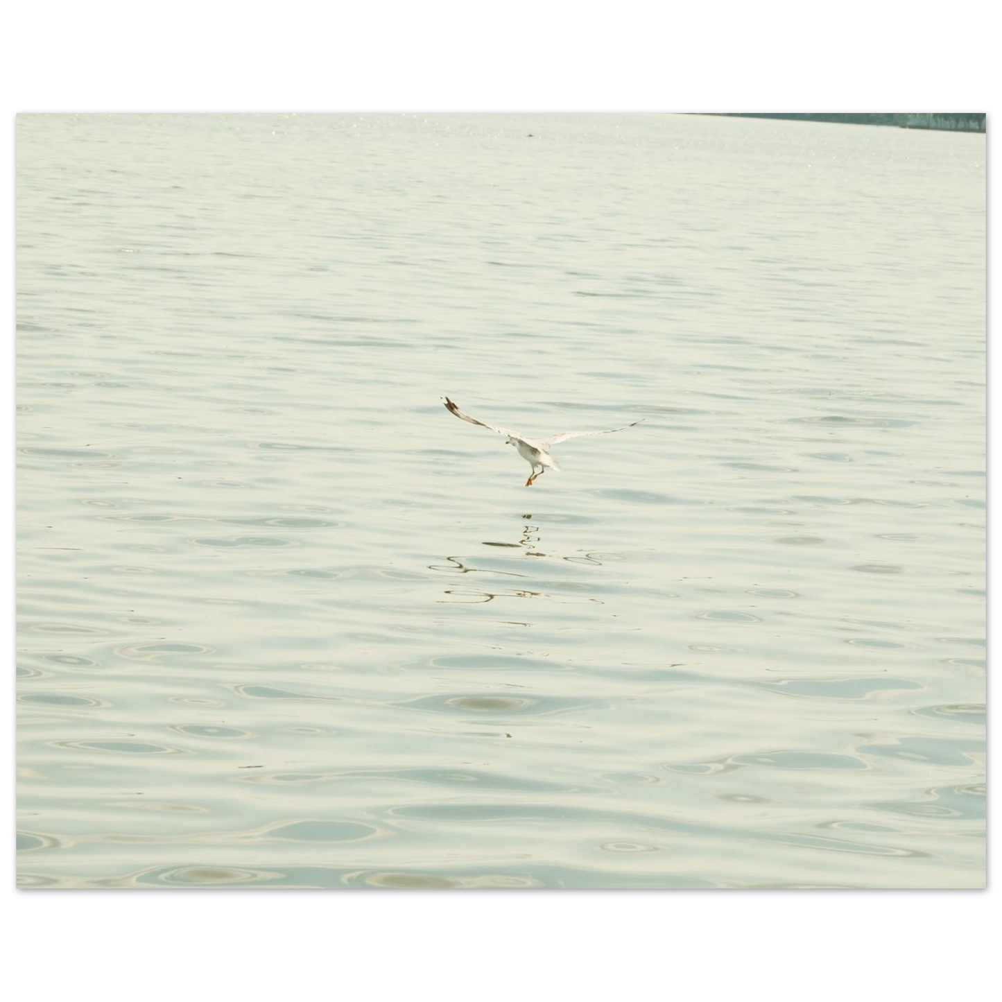 d7d6ae28-2807-40c4-abe7-5e537f960248