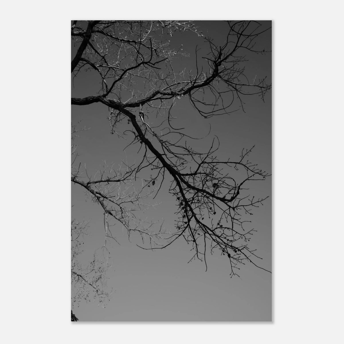 e50a6a20-92af-45d3-8b0e-90373ef75a67