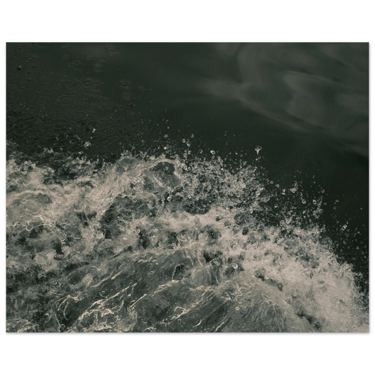 e5cf448e-c484-4d7f-b111-6739c10aa9ae