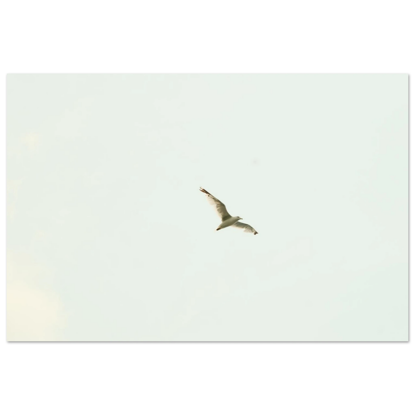 e91562ad-a2ec-4bcc-ba84-3aa7a6302310