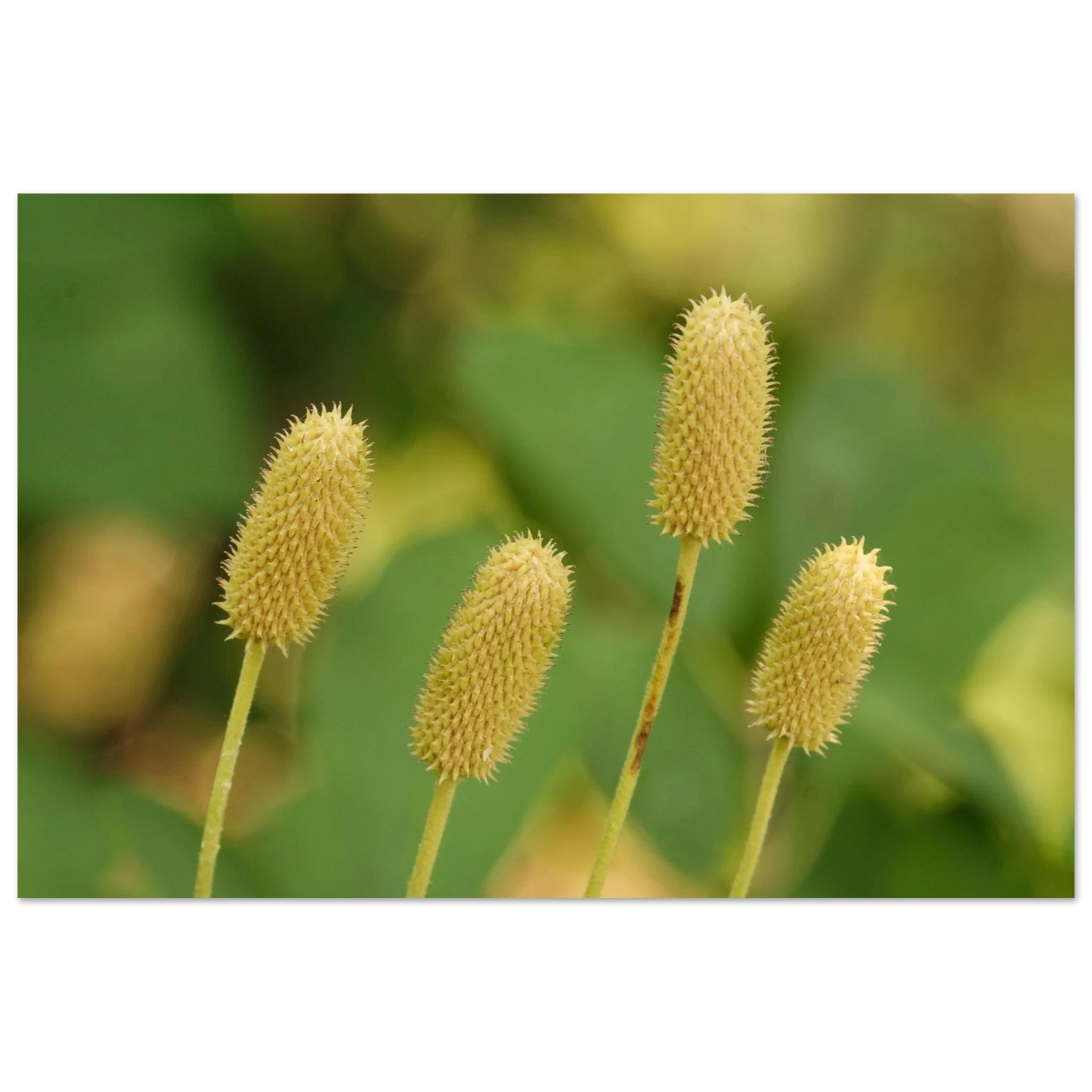 eab86fde-157c-4f45-b56e-1e853301b7cd