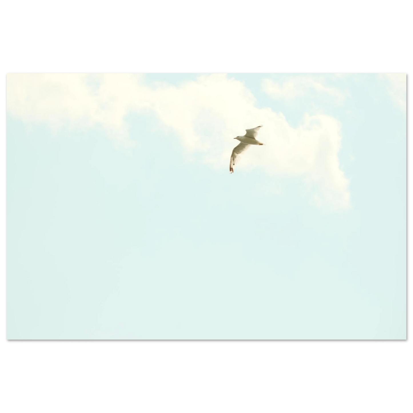ec9e0adb-7830-4fa8-9463-0b78ae9a99c3