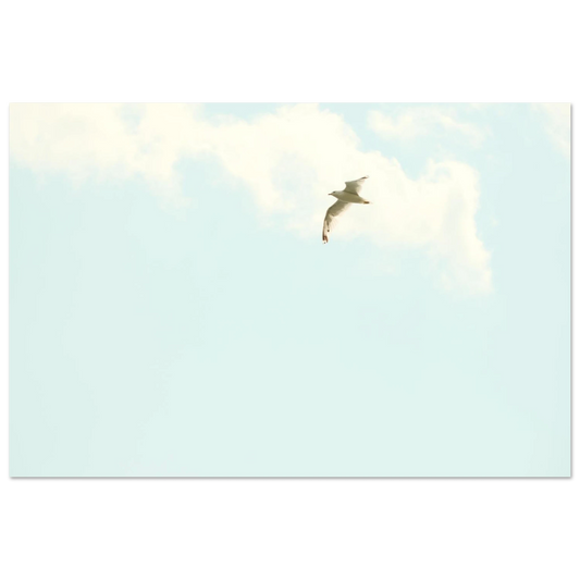 ec9e0adb-7830-4fa8-9463-0b78ae9a99c3