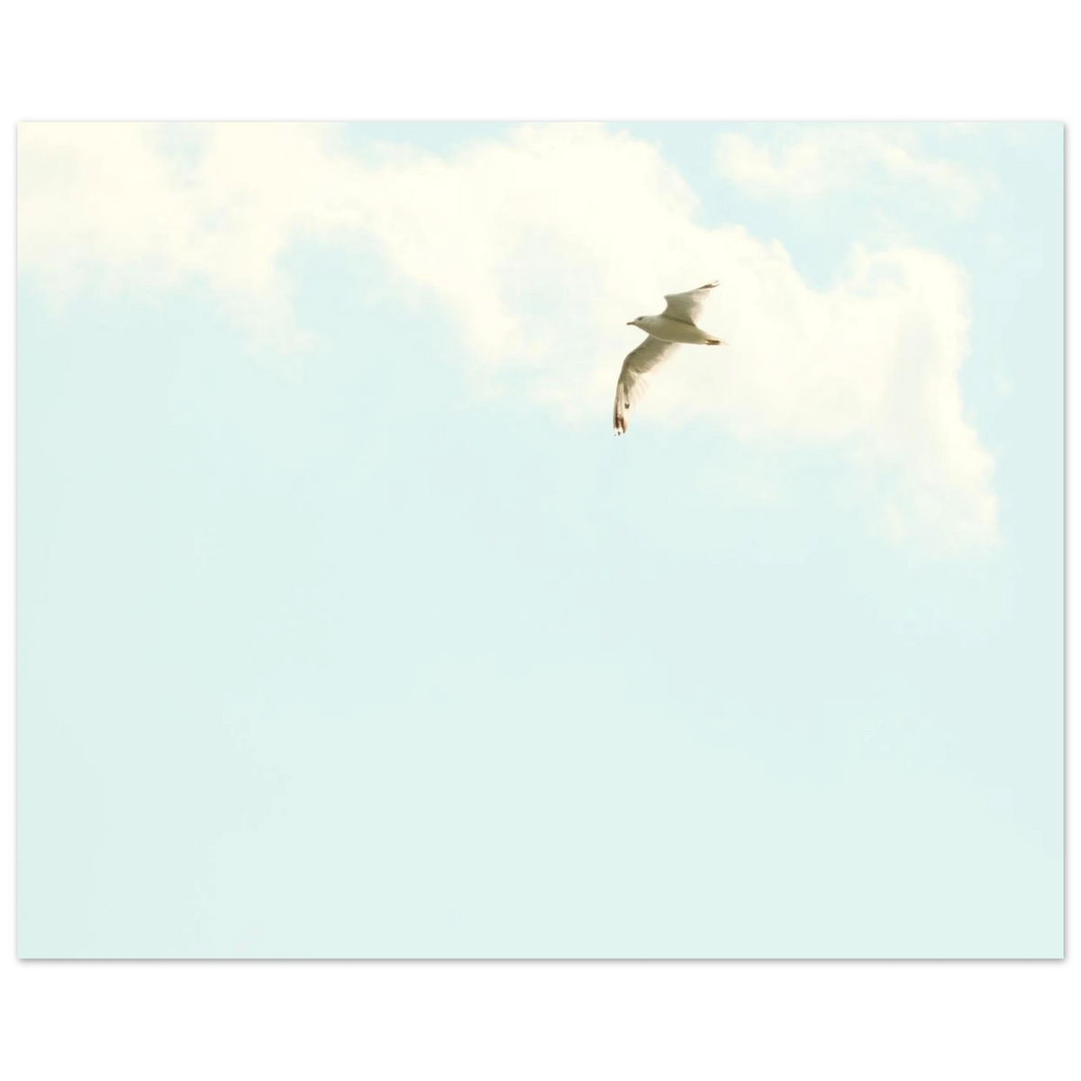 fe10f09c-b09b-431e-bcd5-d7562b4d2240