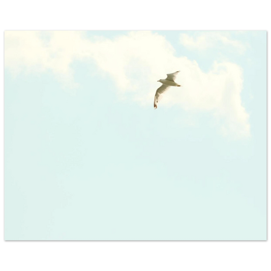 fe10f09c-b09b-431e-bcd5-d7562b4d2240